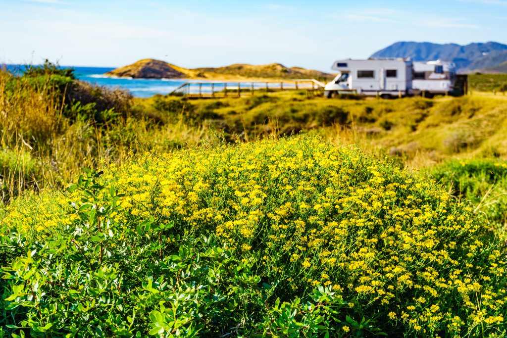 spring rv tips